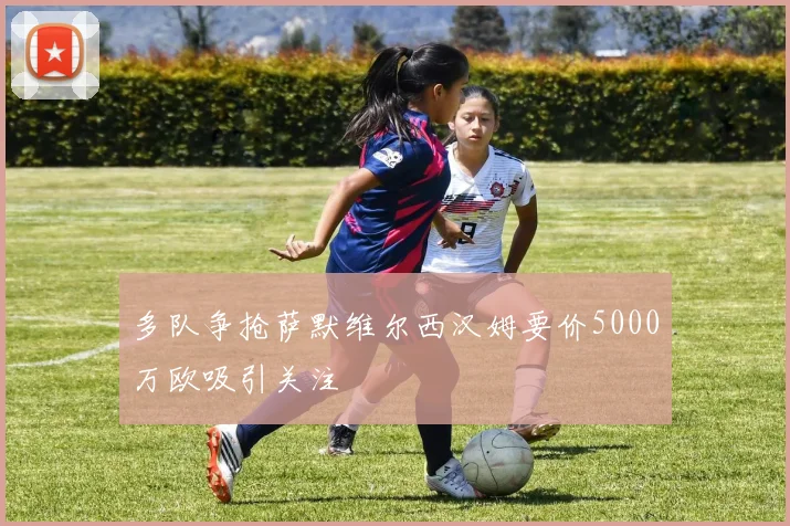 多队争抢萨默维尔西汉姆要价5000万欧吸引关注